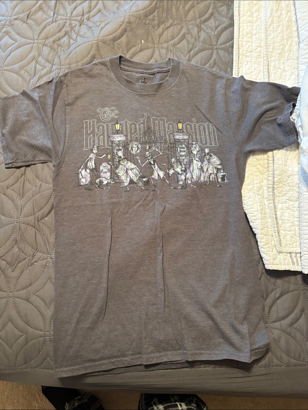 Hanes Gray Haunted Mansion Graphic Tee